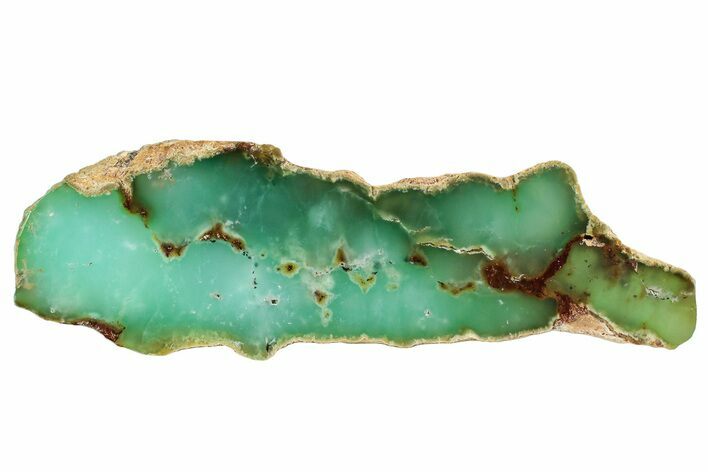 Polished Green Chrysoprase Slab - Western Australia #239709